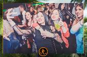 VIPERA - TROPICAL - 19/03/2019