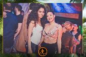 VIPERA - TROPICAL - 19/03/2019