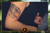 VIPERA - TROPICAL - 19/10/2021