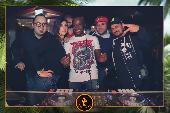 VIPERA - TROPICAL - 19/10/2021