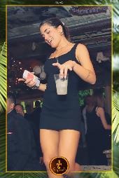 VIPERA - TROPICAL - 19/10/2021