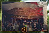 VIPERA - TROPICAL - 19/10/2021