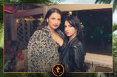 VIPERA - TROPICAL - 19/10/2021
