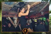 VIPERA - TROPICAL - 19/10/2021