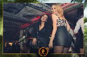 VIPERA - TROPICAL - 19/10/2021