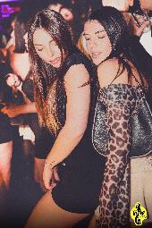 VIPERA - 20/12/2024