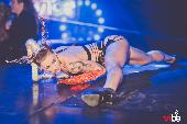 VIBE-FABULA - 21/01/2023