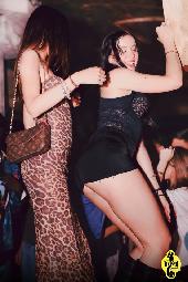 VIPERA - CULT TUESDAY - 21/04/2026