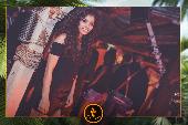 VIPERA - TROPICAL - 21/05/2019