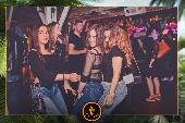 VIPERA - TROPICAL - 21/05/2019