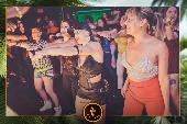 VIPERA - TROPICAL - 21/05/2019