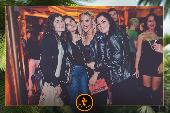 VIPERA - TROPICAL - 21/05/2019