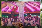 VIPERA - TROPICAL - 21/05/2019