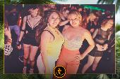 VIPERA - TROPICAL - 21/05/2019