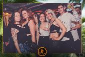 VIPERA - TROPICAL - 21/05/2019