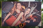 VIPERA - TROPICAL - 22/01/2019