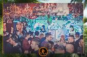 VIPERA - TROPICAL - 22/01/2019