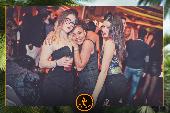 VIPERA - TROPICAL - 22/01/2019