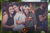 VIPERA - TROPICAL - 22/01/2019