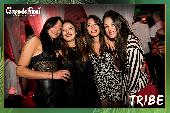Campo dei Fiori - TRIBE - 22/06/2019