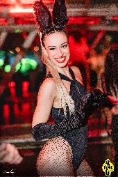 VIPERA - 22/11/2024
