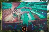 VIPERA - TROPICAL - 23/04/2019