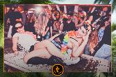 VIPERA - TROPICAL - 23/04/2019