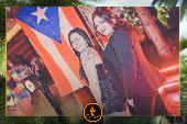 VIPERA - TROPICAL - 23/04/2019