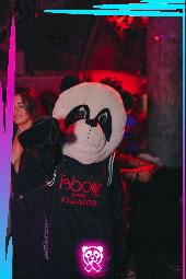 DIVA - 23/09/2023