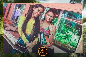 VIPERA - TROPICAL - 24/09/2019