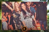 VIPERA - TROPICAL - 24/09/2019
