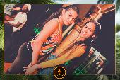 VIPERA - TROPICAL - 24/09/2019