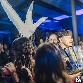 VIBE - DIPINTO - 24/10/2026