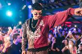 VIBE - DIPINTO - 24/10/2026