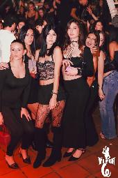 VIPERA - NOTTE ITALIANA - 24/10/2026