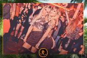 VIPERA - 24/12/2019