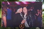 VIPERA - TROPICAL - 26/03/2019