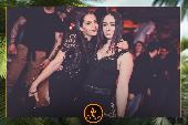 VIPERA - TROPICAL - 26/03/2019