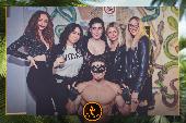 VIPERA - TROPICAL - 26/03/2019