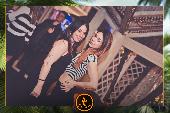 VIPERA - TROPICAL - 26/03/2019
