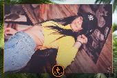 VIPERA - TROPICAL - 26/03/2019