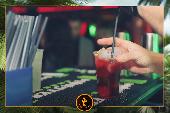 VIPERA - TROPICAL - 26/10/2021