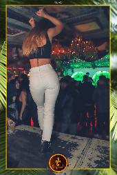 VIPERA - TROPICAL - 26/10/2021