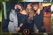 VIPERA - TROPICAL - 26/10/2021