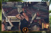 VIPERA - TROPICAL - 26/10/2021