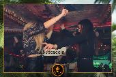VIPERA - TROPICAL - 26/10/2021