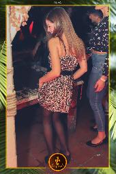 VIPERA - TROPICAL - 26/10/2021