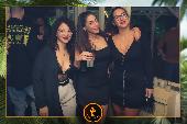 VIPERA - TROPICAL - 26/10/2021