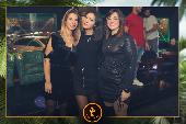 VIPERA - TROPICAL - 26/10/2021