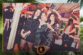 VIPERA - 26/11/2019